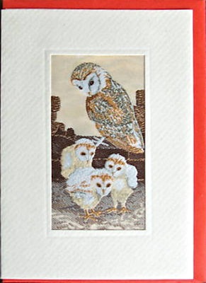J & J Cash woven card, with no words, but picture of a Barn Owl with various baby chicks