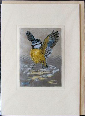 J & J Cash woven card, with no words, but picture of a Blue Tit - in water