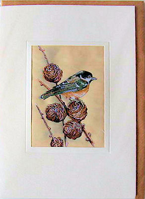 J & J Cash woven card, with no words, but picture of a Coal Tit - with Yew tree cones