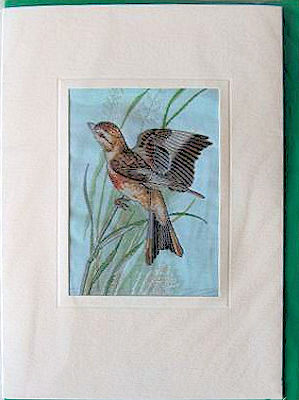 J & J Cash woven card, with no words, but picture of a Linnet