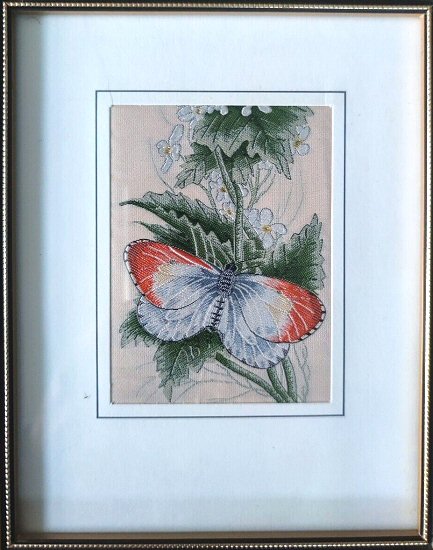 J & J Cash woven butterfly card, with no title words, but picture of a Orange Tip butterfly