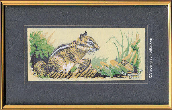 J & J Cash woven picture with image of an Eastern Chipmunk