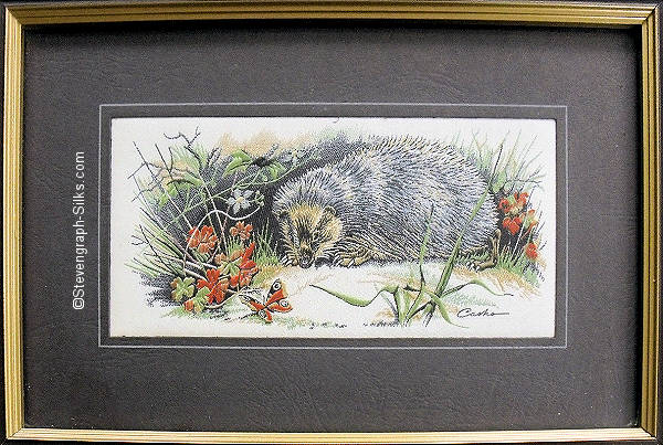 J & J Cash woven picture with image of an Hedgehog