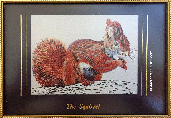 picture with image of a squirrel, and title words printed beneath