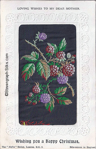 Stevens Alpha series postcard with no woven words, just image of blackberries, with printed title