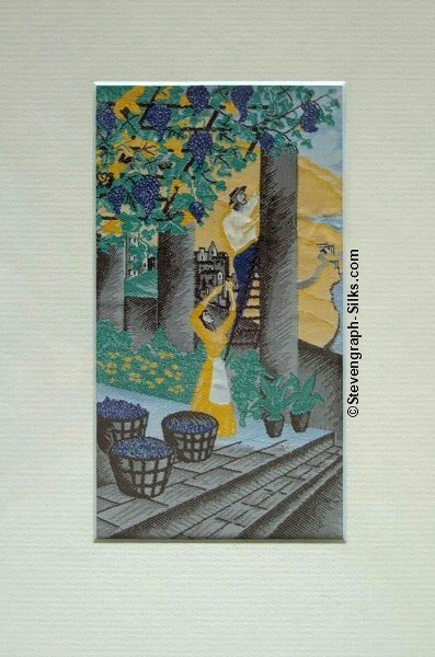 image of woman and man picking grapes