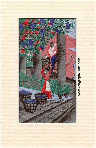 image of woman and man picking grapes