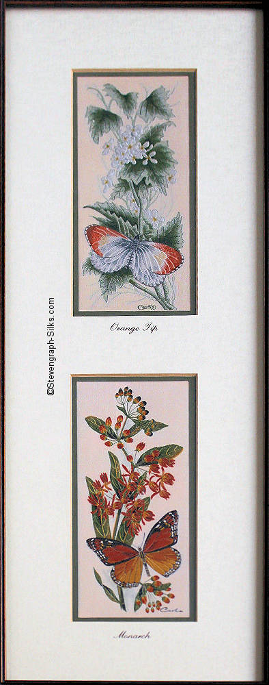 J & J Cash woven picture with two pictures in one frame; being Orange Tip & Monarch butterflies