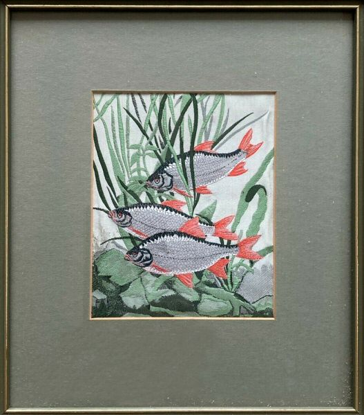 Franklin picture of Rudd fish