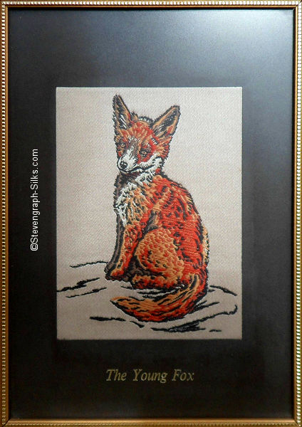 picture with image of a young fox, and title words printed beneath