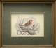 thumbnail image of this silk