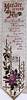 thumbnail image of this silk