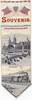 thumbnail image of this silk