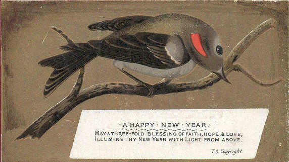 Bird printed card - A Happy New Year