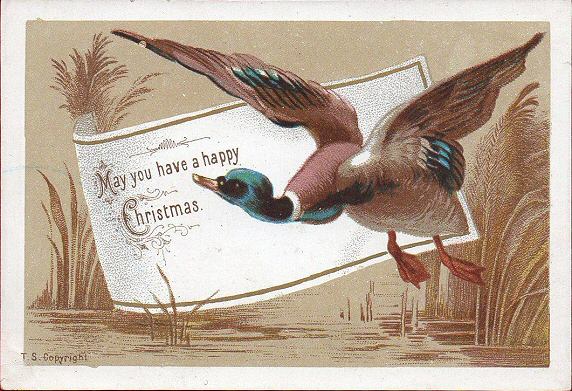Bird printed card - May you have a happy Christmas