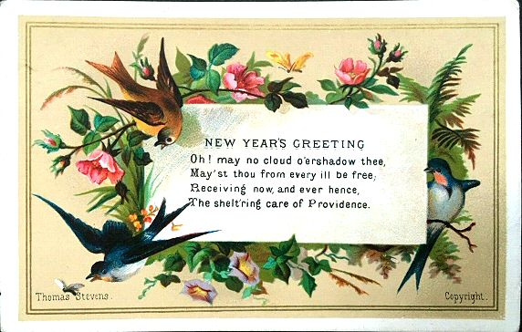 Bird printed card - New Year's Greeting
