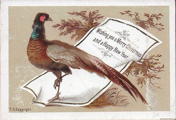 Bird printed card - Wishing you a merry Christmas