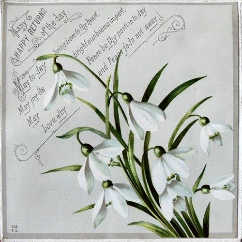 printed card with title words - Many Happy Returns of the Day, and verse